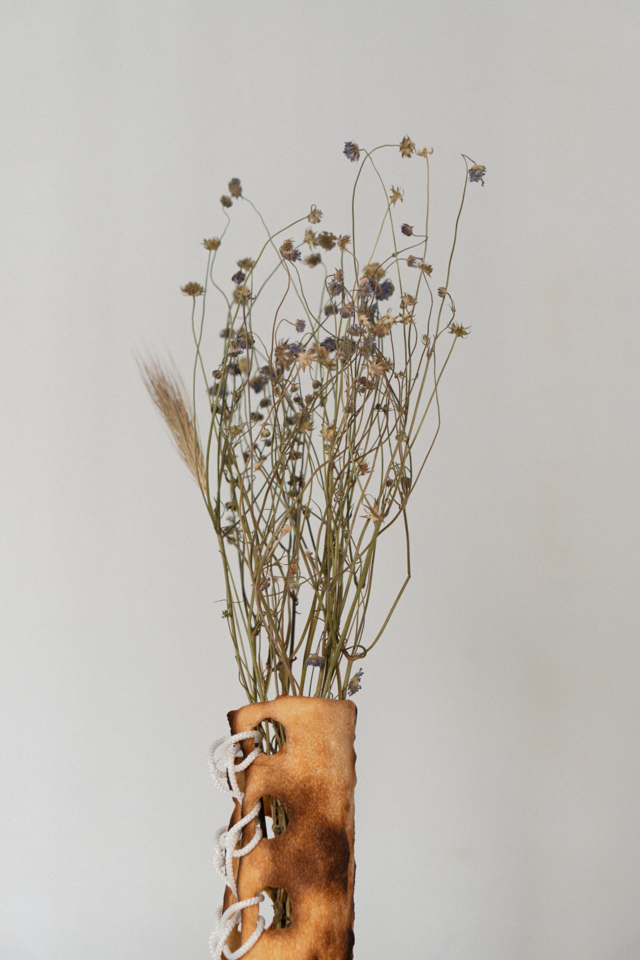 fiori
